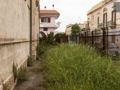Scegliamo cos� di usare l'accesso secondario situato in via Sterlacci, che troviamo aperto sul lato destro della struttura, ritrovandoci in una selva di sterpaglie alte un metro che dominano il vecchio giardino giardino